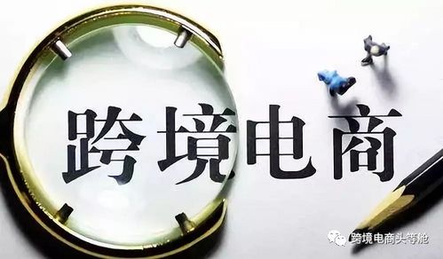 進博會又雙叒來了，今年這樣玩轉跨境與國內貿易