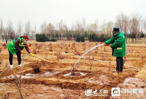 青州市園林綠化和環(huán)衛(wèi)中心 壓實(shí)疫情防控安全線 拉緊綠化養(yǎng)護(hù)進(jìn)度條