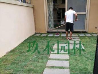 圖 園林綠化工程設(shè)計(jì)施工 草坪樹(shù)花枝種植 養(yǎng)護(hù)修剪,來(lái)電優(yōu)惠 廣州鮮花綠植