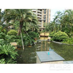 【工廠綠化養(yǎng)護(hù)、學(xué)校綠化養(yǎng)護(hù)、小區(qū)綠化養(yǎng)護(hù)修剪、園林綠化施工】-