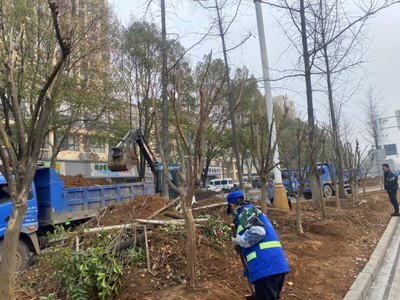 市園林和市政公用設(shè)施管護(hù)中心啟動市長虹大道綠化提升改造工程