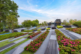 熱烈祝賀公司五個項目榮獲2018年度杭州市 優(yōu)秀園林綠化工程 金獎榮譽(yù)