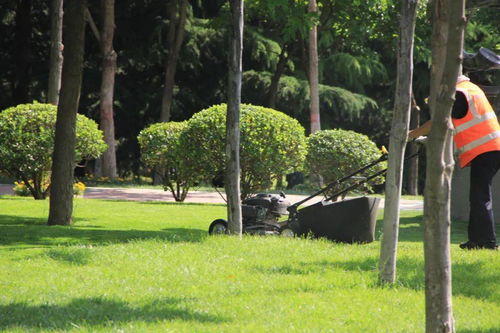 風景園林施工涉及哪些技術(shù)