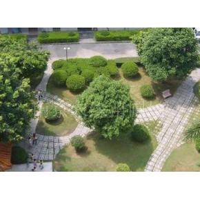 工廠(chǎng)綠化承包公司