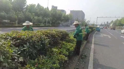 區(qū)園林綠化維護(hù)中心 天心區(qū)政府門(mén)戶(hù)網(wǎng)站