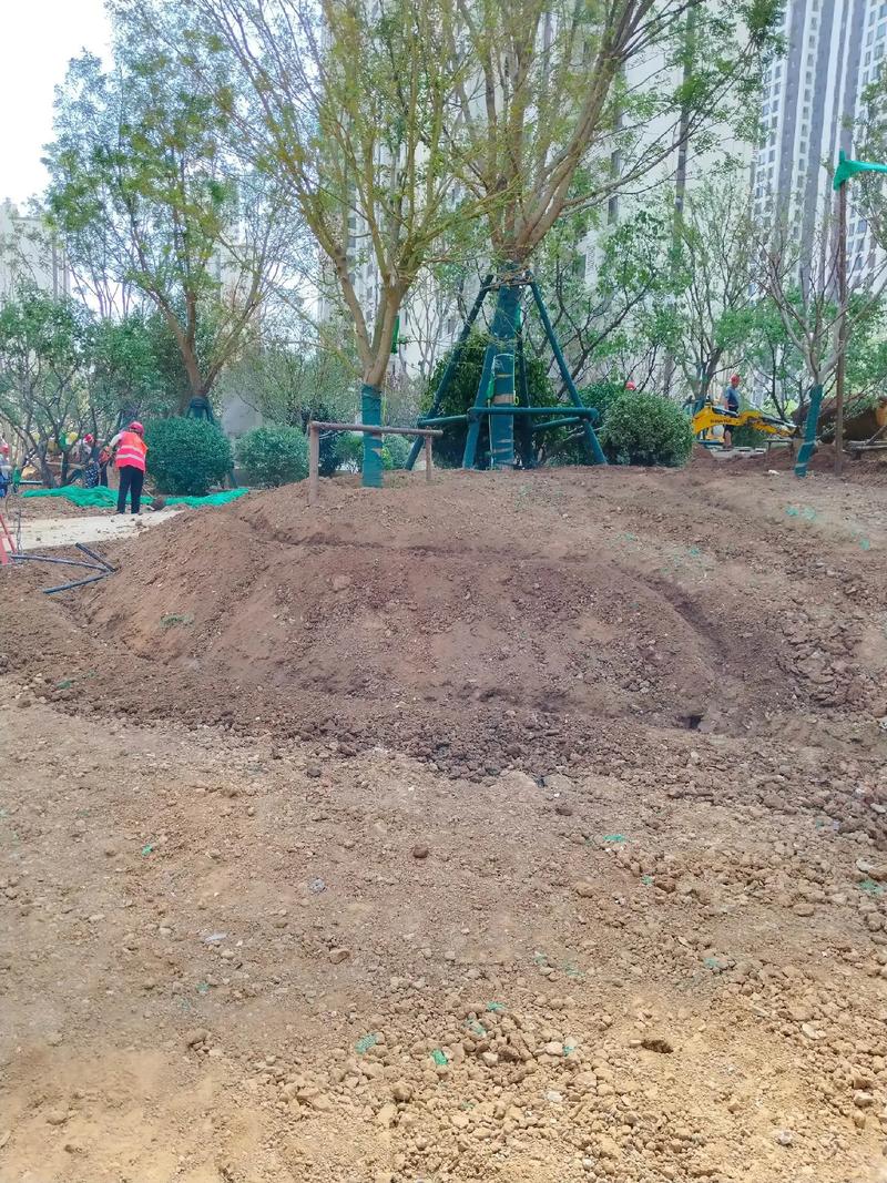 地形整理,苗木種植!#園林綠化工程 #施工現(xiàn)場實(shí)拍