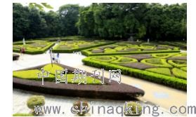 淺談園林綠化工程的項目管理優化