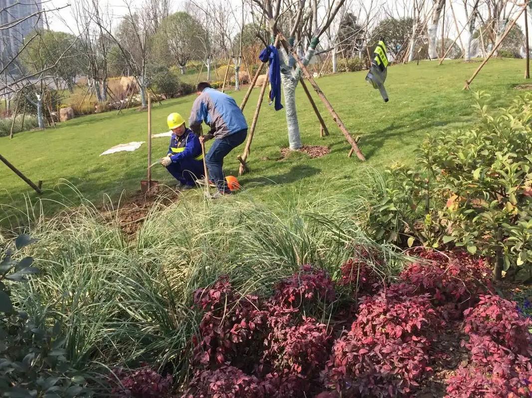 邊坡綠化工程 專業(yè)施工，筑造綠色家園的生態(tài)屏障